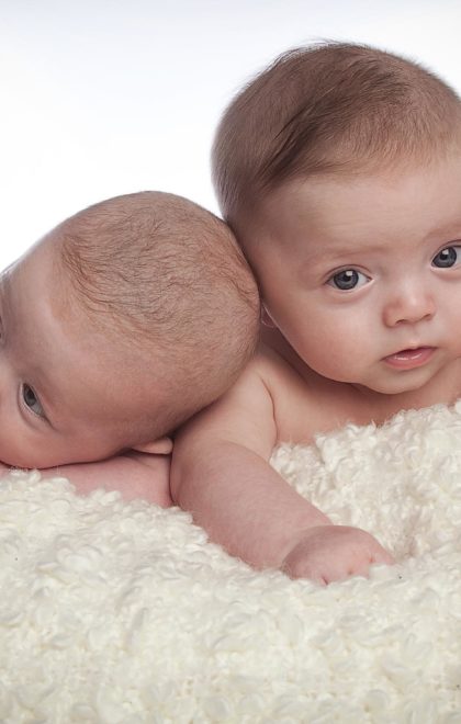 newborn twins photo