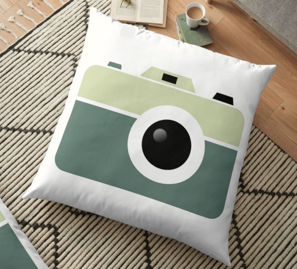 gift idea of camera pillow