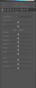 Explanation of Camera RAW Files