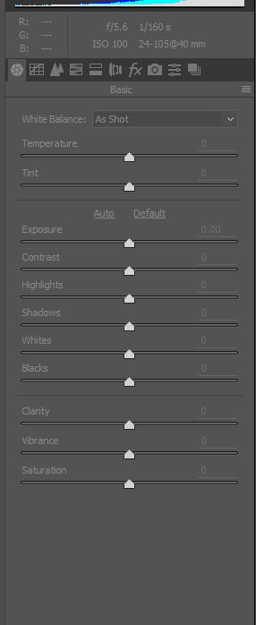 An Explanation of Camera RAW Files - D Studios Photography